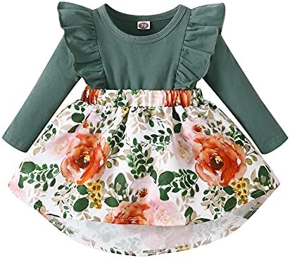 OLLUISNEO Newborn Baby Girl Dress Infant Ruffle Sleeve Romper Outfits Flower Girls Dresses Baby Girl Clothes Summer Fall